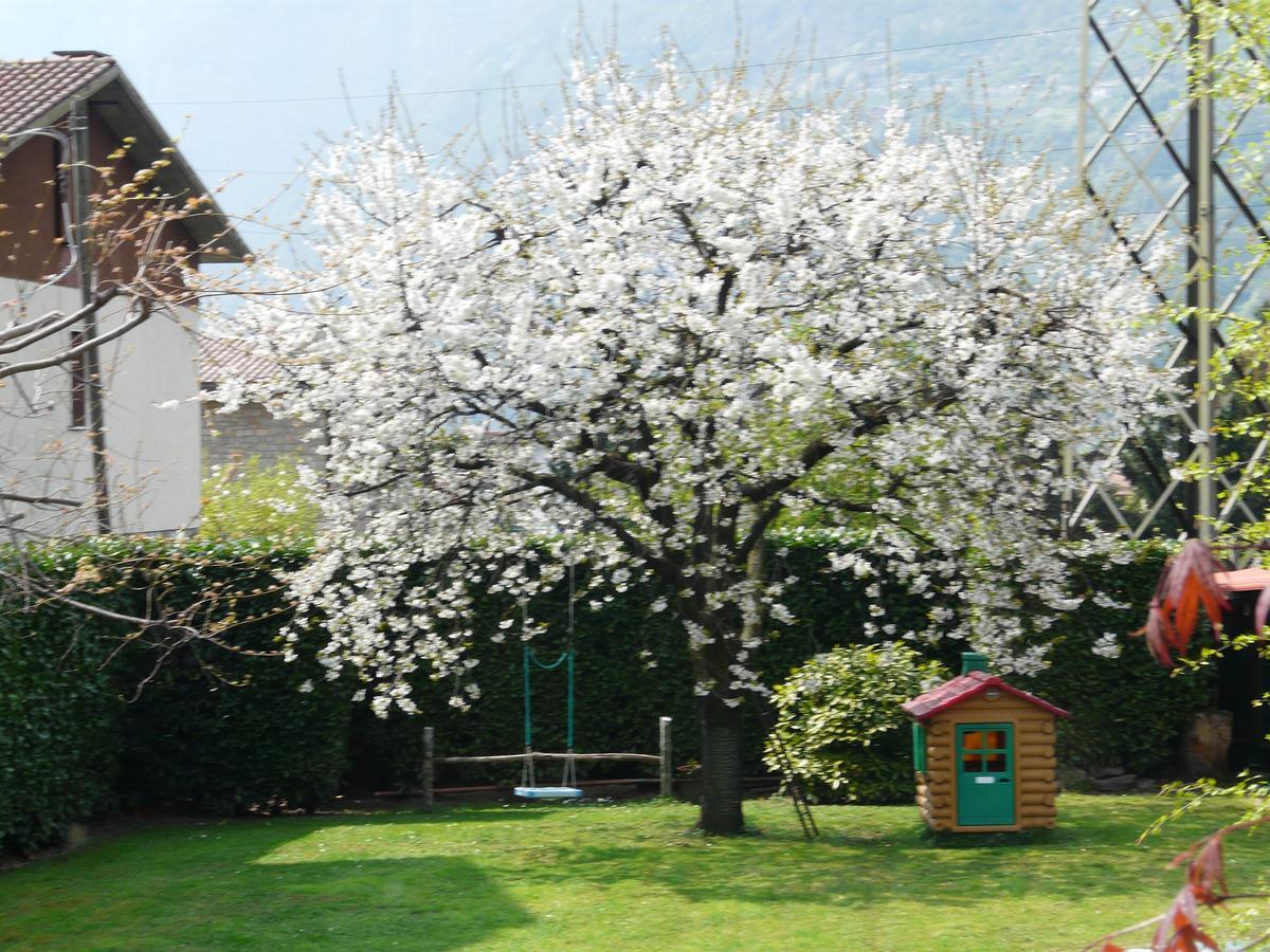 مبيت وإفطار Esine La Casa Di Clara المظهر الخارجي الصورة